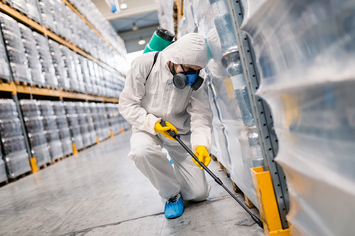 How To Solve Common Commercial Pest Control Challenges