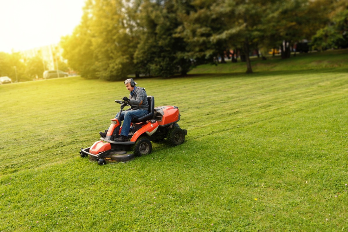 Best Lawn Care Tools List 15 Essential, Landscape Clean Up Crew