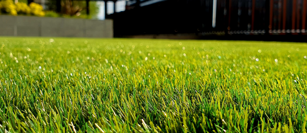 A close up of a neatly trimmed lawn with a house in the background.