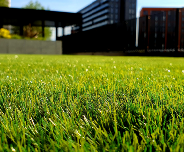 A close up of a neatly trimmed lawn with a house in the background.