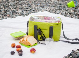 lunch bag with food inside