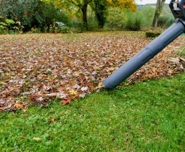 clearing autumn leaves picture