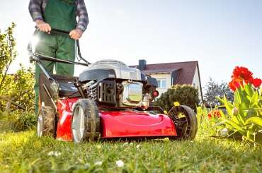 lawn mower in a sunny garden at spring time picture