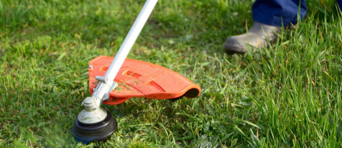 person using a string trimmer on the grass