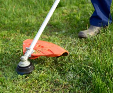 person using a string trimmer on the grass