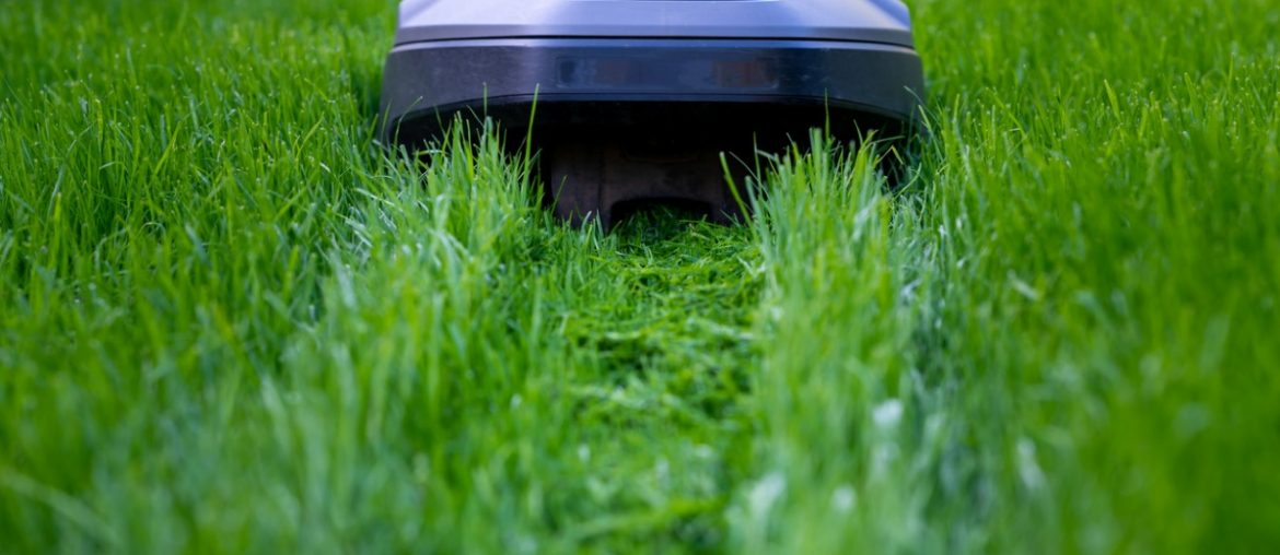 robot mower cutting high grass picture