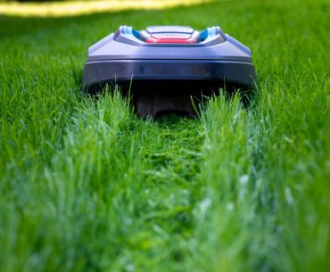 robot mower cutting high grass picture