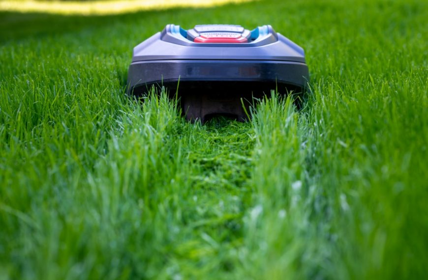 Top 5 Best Robot Lawn Mowers of 2022
