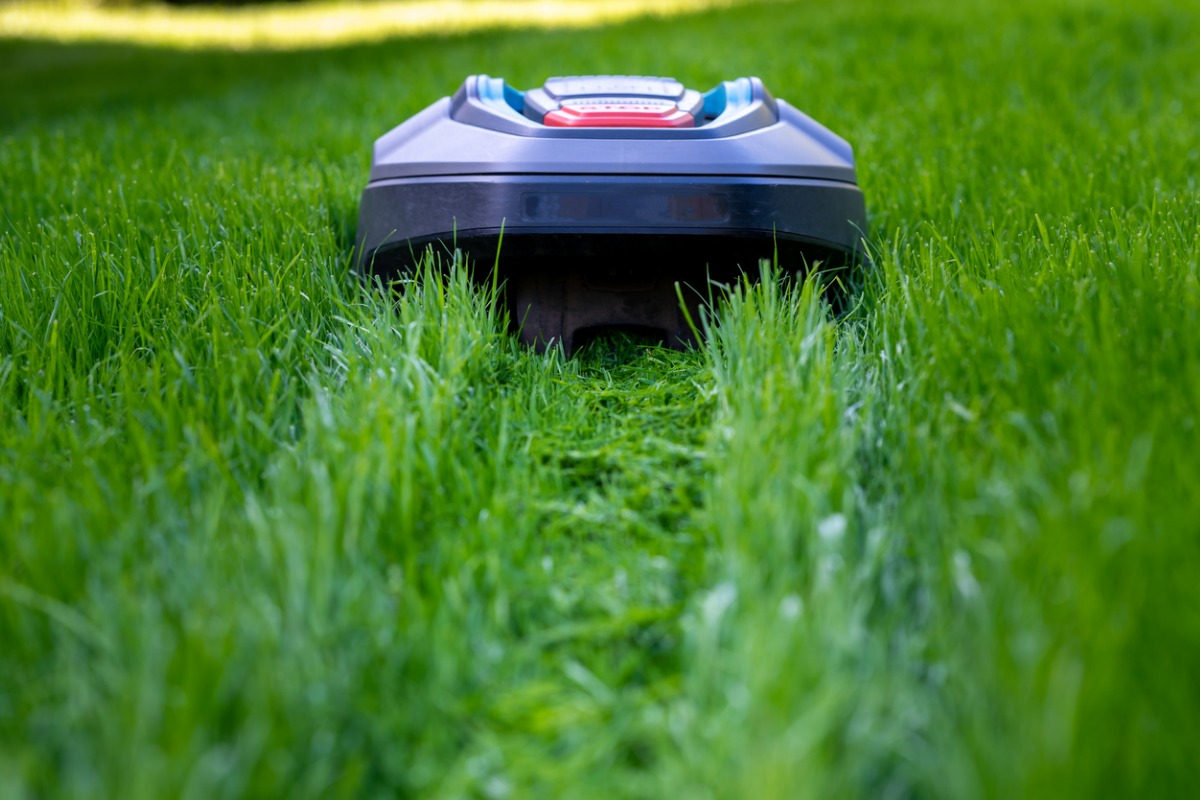5 Best Robot Lawn Mowers [2024 Reviews]