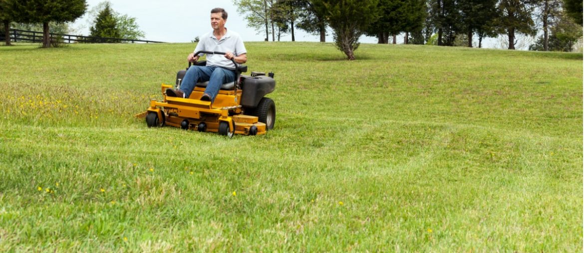 senior man rides zero turn lawn mower on turf picture