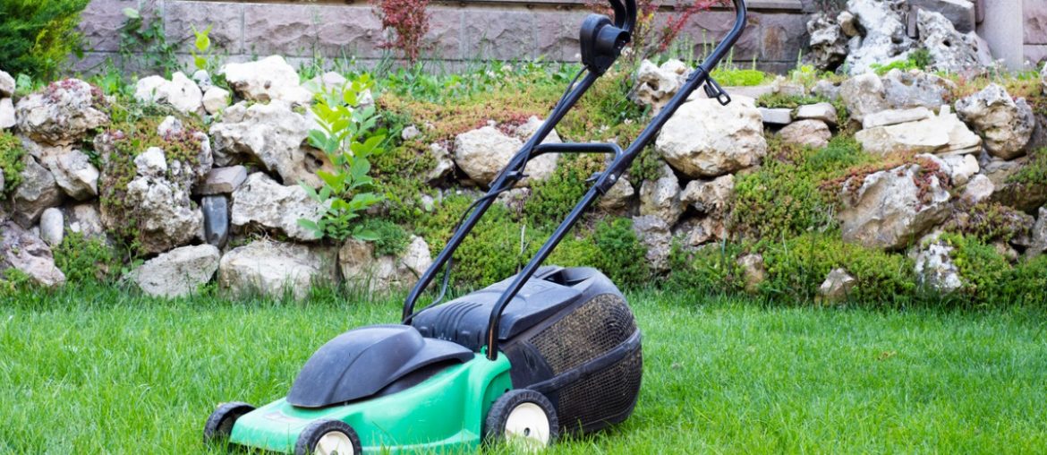 small lawn mower picture