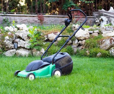 small lawn mower picture