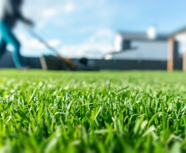 spring season sunny lawn mowing in the garden lawn blur with soft picture