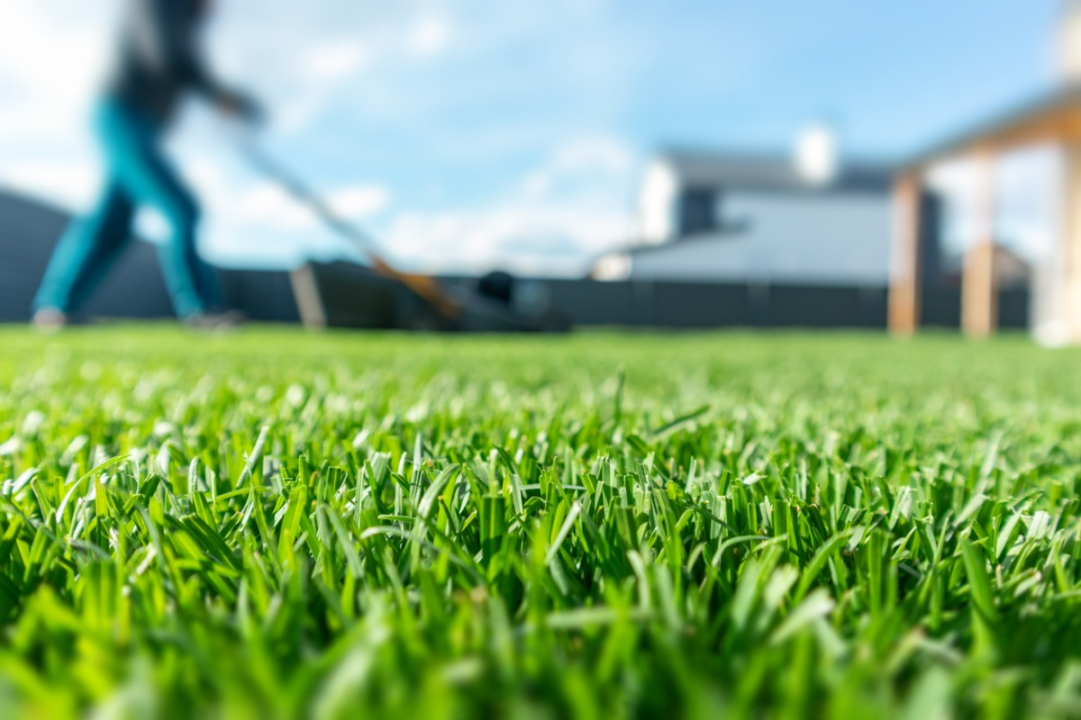 How Much Is Lawn Care Per Month In 2024 
