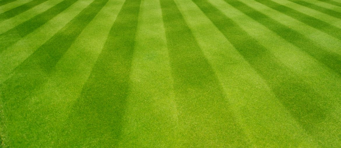 Alternating dark and light green lines left by a mower on an immaculately manicured lawn.