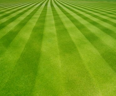 Alternating dark and light green lines left by a mower on an immaculately manicured lawn.