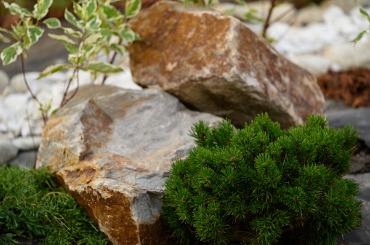closeup of a large stone with a juniper tree in the garden selective picture