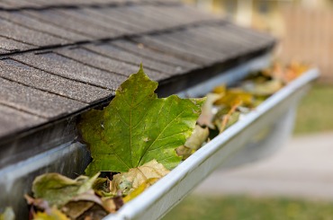 closeup of house rain gutter clogged with colorful leaves falling picture