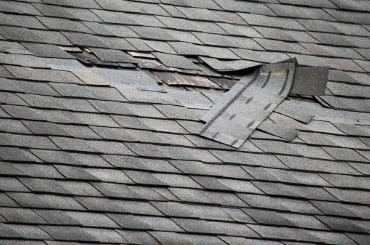 damaged roof shingles picture