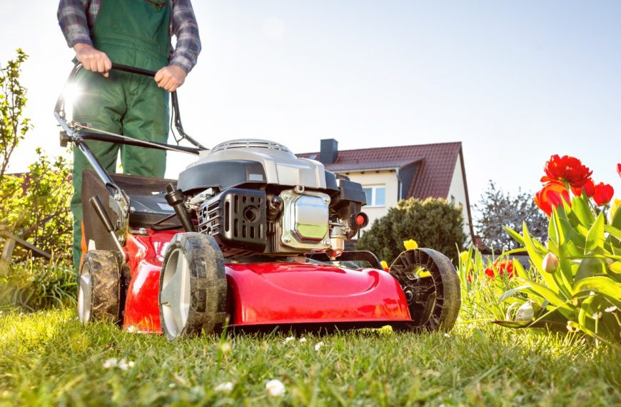 How Much Does A Lawn Mower Cost? | Pricing Guide