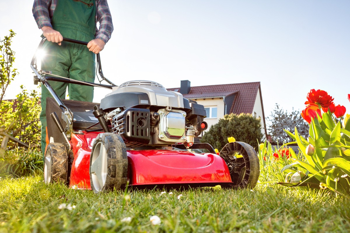 lawn mower in a sunny garden at spring time picture