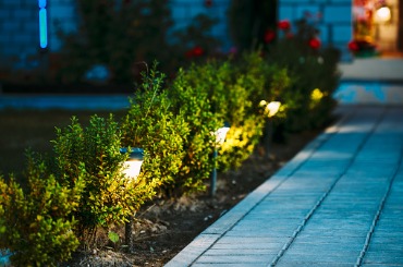 night view of flowerbed with flowers illuminated by energysaving picture