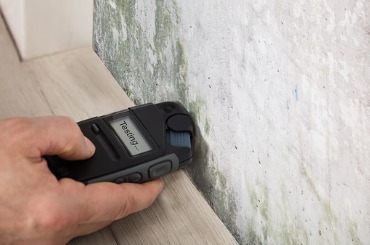 person hand testing the moldy wall picture