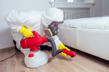 pest control worker lying on floor and spraying pesticides in bedroom picture