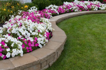 Rock Retaining Wall Holding Plants as a Centerpiece