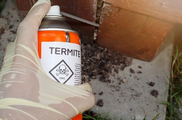spray chemicals to kill termites in the wall holes picture