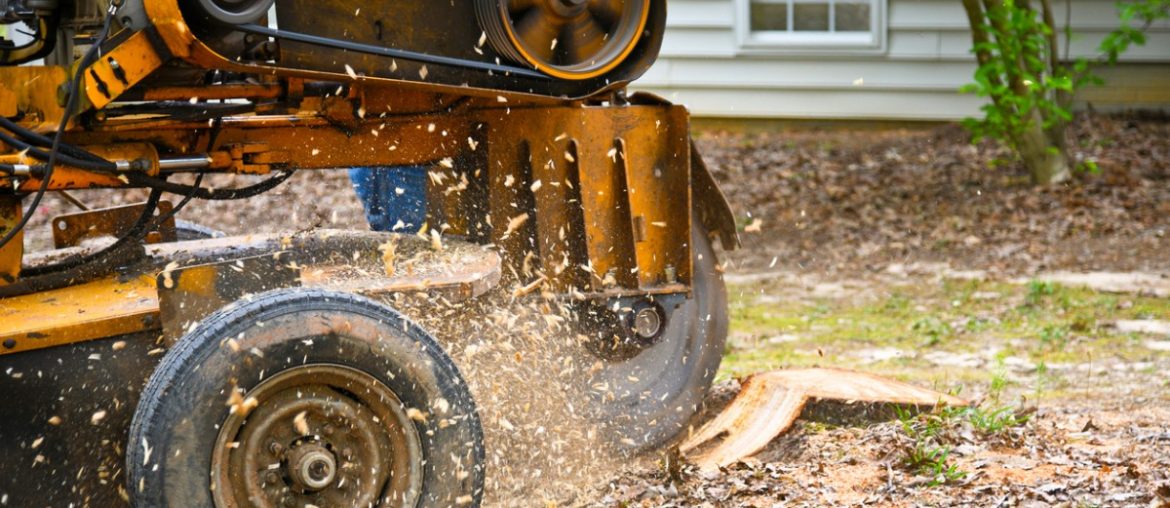 stump grinding picture
