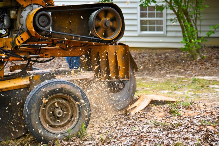 stump grinding picture