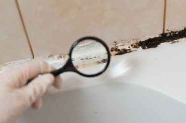 we consider the mold under a magnifying glass in the bathroom a black picture