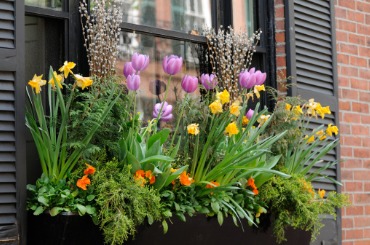 window box flower arrangement picture