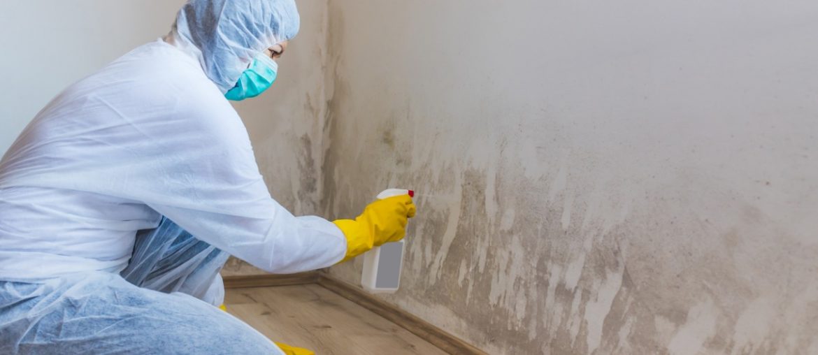 woman removes mold from wall using spray bottle with mold remediation picture