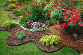 beautiful landscaped flower garden with blooming roses