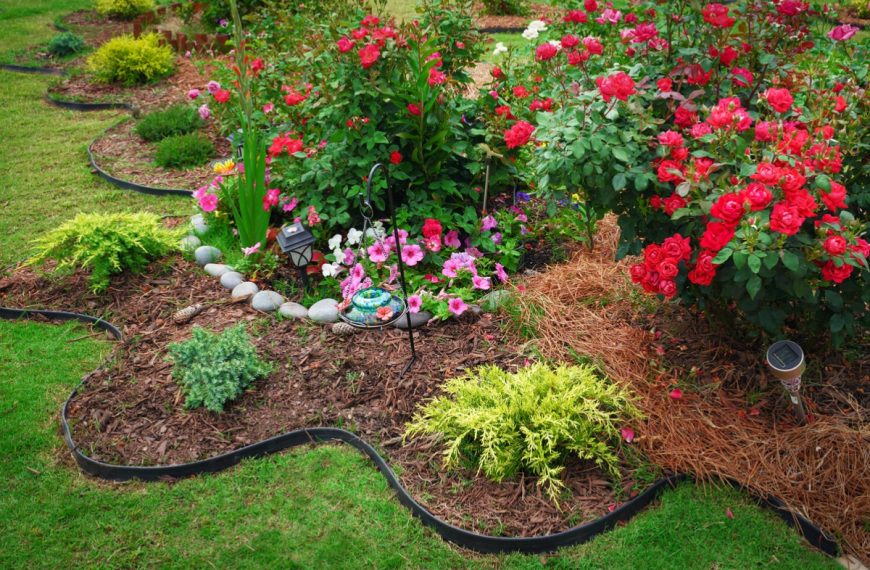 Benefits of Professional Landscaping