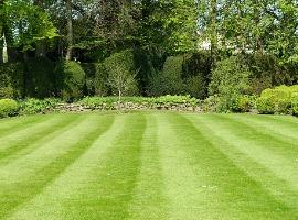 mowed lawn in a garden