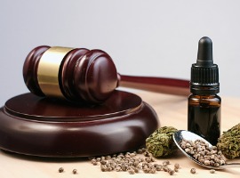 cannabis and judges gavel