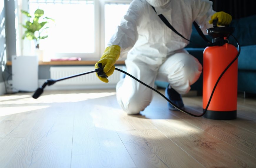What Are The 3 Methods of Pest Control?