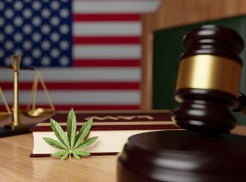 legalization of cannabis in the united states the hammer of the judge the scales of justice