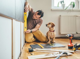 man and his dog doing renovation work at home
