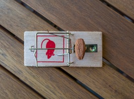 mousetrap with piece of almond and space for text on brown wooden background side view pest
