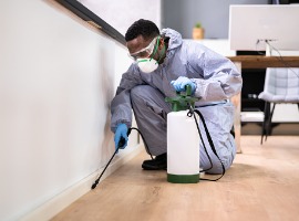 pest control exterminator man spraying termite pesticide
