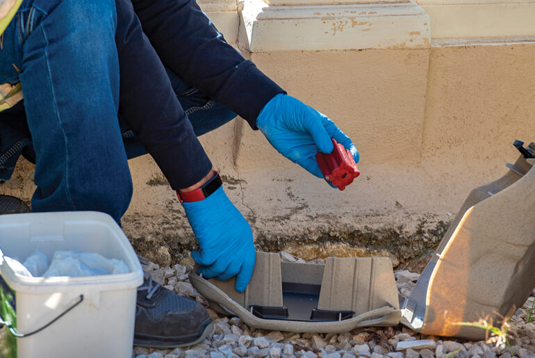 What Are The 3 Methods of Pest Control? WorkWave