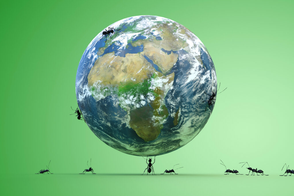 Eco-Friendly Pest Control: Why Your Business Should Go Green